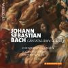 Download track Ich Will Den Kreuzstab Gerne Tragen, BWV 56: Recitativo: Mein Wandel Auf Der Welt