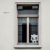 Download track Immer