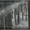 Download track Piano Sonata In A Major, D. 959 II. Andantino (Arr. For English Horn & String Trio By Eduard Wesly)