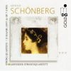 Download track Streichquartett No. 1 D-Moll, Op. 7 - I. Nicht Zu Rasch