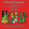 Download track 13 - Light Of A Clear Blue Morning (Arr. C. H. Johnson For Choir) [Live]
