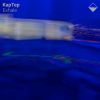 Download track Holding Patterns