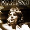 Download track Sweet Little Rock 'N' Roller