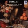 Download track 7. Serenade Gran Partita En Si Bemol Majeur KV 361 1781: Finale. Molto Allegro