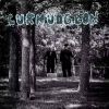 Download track Three Is A Magic Number