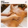 Download track Spa Oasis Music