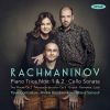 Download track Trio Élégiaque No. 2 In D Minor, Op. 9: I. Moderato
