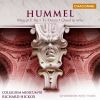 Download track 14. Mass Op. 80 In E Flat Major: VI. Agnus Dei. Dona Nobis Pacem