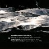 Download track Sonata No. 2 In D Major, BWV 1028 II. Allegro