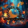 Download track Moonlit Notes Of Reflection
