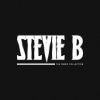 Download track Spring Love (S's S Radio Mix)