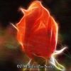 Download track Aura Of Emotion
