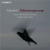 Download track Herbst, D. 945