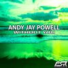 Download track Without You (Instrumental Mix)