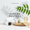 Download track Ambient Massage Music