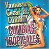Download track La Gallina