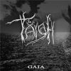 Download track Mechta