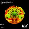 Download track Never Give Up (Original Mix)