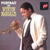 Download track Trumpet Concerto No. 2: I. Mesto Concitato