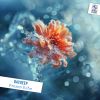 Download track Echo Of You