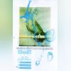 Download track Bodylife- Loop Ii'
