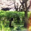 Download track Spring Piece
