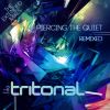 Download track Can'T Keep It In (Tritonal Club Mix)