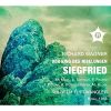 Download track Die Mainacht, Op. 43 No. 2 (Live)