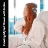 Download track Sunday Evening White Noise, Pt. 9
