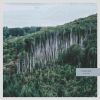 Download track A Perfect Picture Of Her (Tyresta Rework)