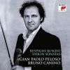 Download track 01. Violin Sonata In B Minor, P. 110 I. Moderato