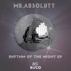 Download track Rhythm Of The Night