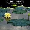 Download track Blossoming Soul