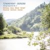 Download track String Quartet No. 2 In D Major- IV. Finale. Andante - Vivace