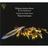 Download track Symphony No. 40 In G Minor, K. 550 (1788): I. Molto Allegro