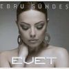 Download track Dunya Donuyor