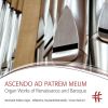 Download track Toccata In D Minor, BuxWV 155