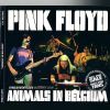 Download track Pigs (Three Different Ones)