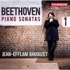Download track 12. Sonata In G Major Op. 14 No. 2 - II. Andante