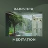 Download track 30 Beautiful Raining Sounds, Pt. 25