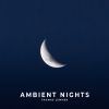Download track 01. Rest Your Mind (Ambient Nights Intro)