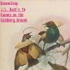 Download track Canon No. 8 (Canon Simplex À 3. Il Soggetto In Alto)