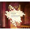 Download track 16 - Concerto For Cello In D Major, RV 403; I. Allegro