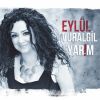 Download track Kayanin Dibinde