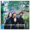 Download track Piano Trio No. 1 In D Minor, Op. 63: IV. Mit Feuer-Nach Und Nach Schneller
