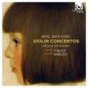 Download track Beethoven: Violin Concerto In D Major, Op. 61 - I. Allegro Ma Non Troppo - Adagio