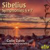 Download track Symphony No. 4 In A Minor, Op. 63: II. Allegro Molto Vivace