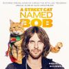 Download track Chasing Bob