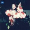 Download track Crawling Back