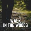 Download track Meditation With Nature, Pt. 11